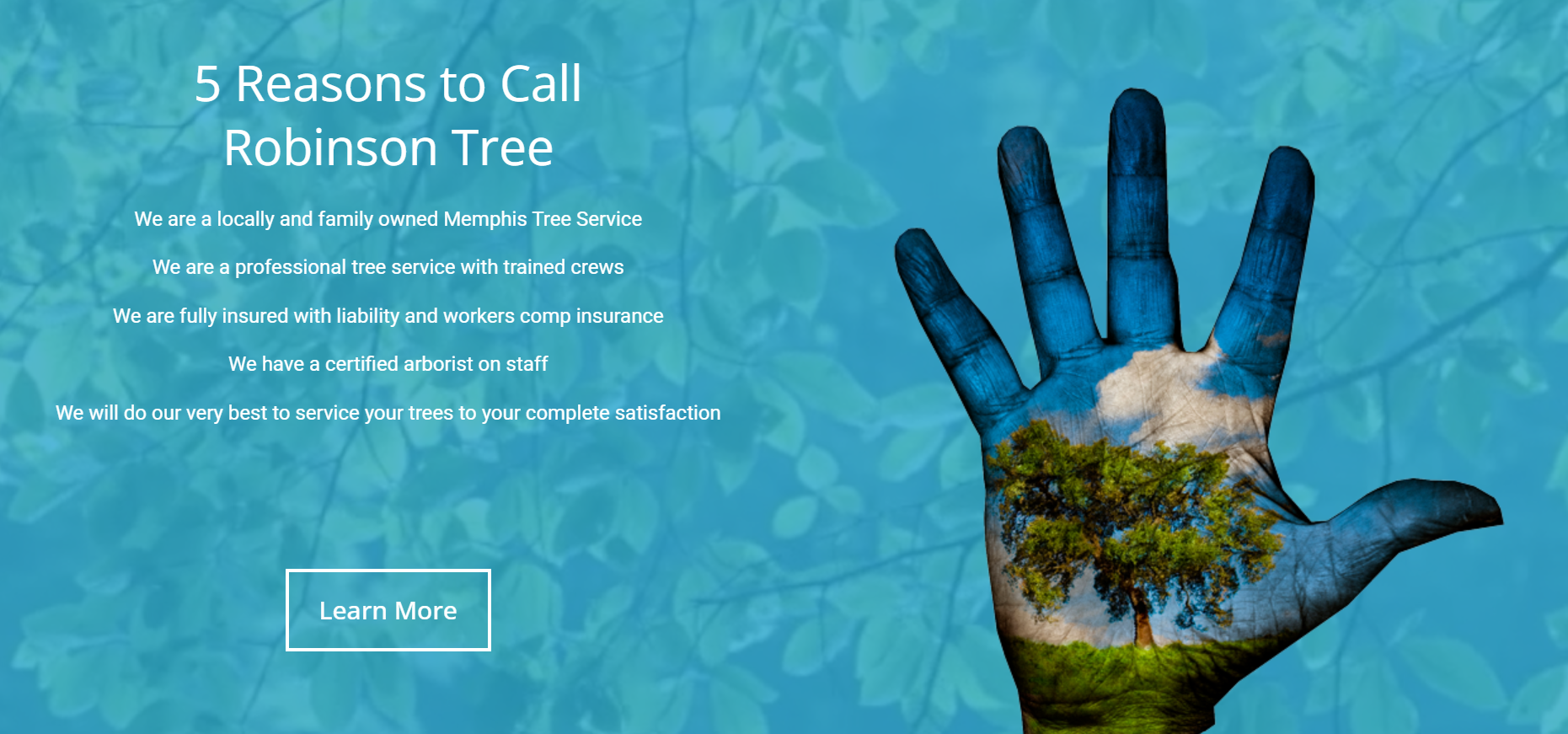 Robinson Tree Service website built by Premier Positions